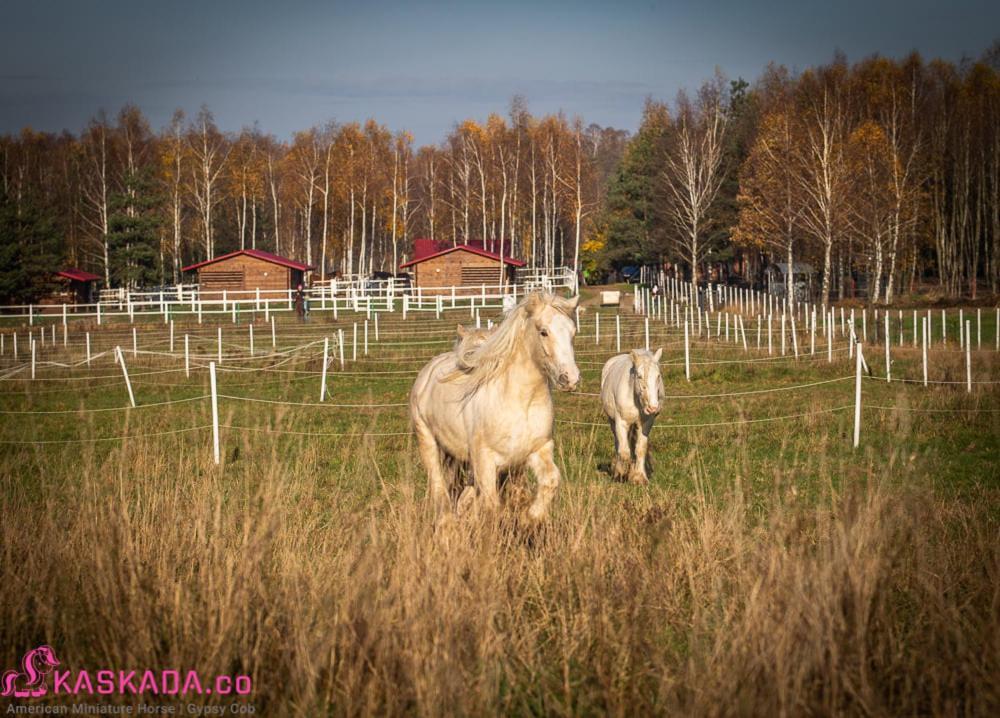 Kaskada Glamping Hotel Lodz  Exterior photo